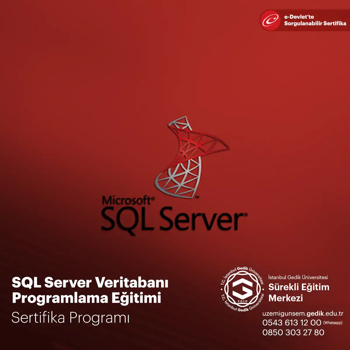 SQL Server Veritabanı Programlama Eğitimi Sertifika Programı